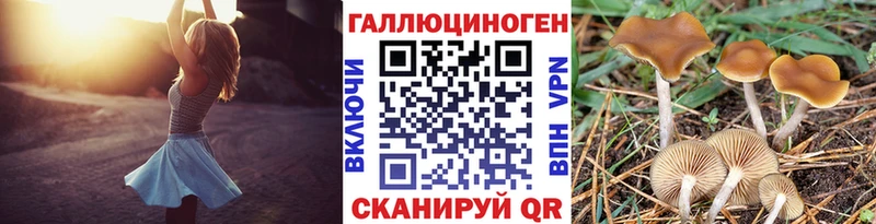 Галлюциногенные грибы мицелий  что такое   Тула 